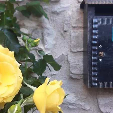 Il Cortile Di San Rufino Apartmán